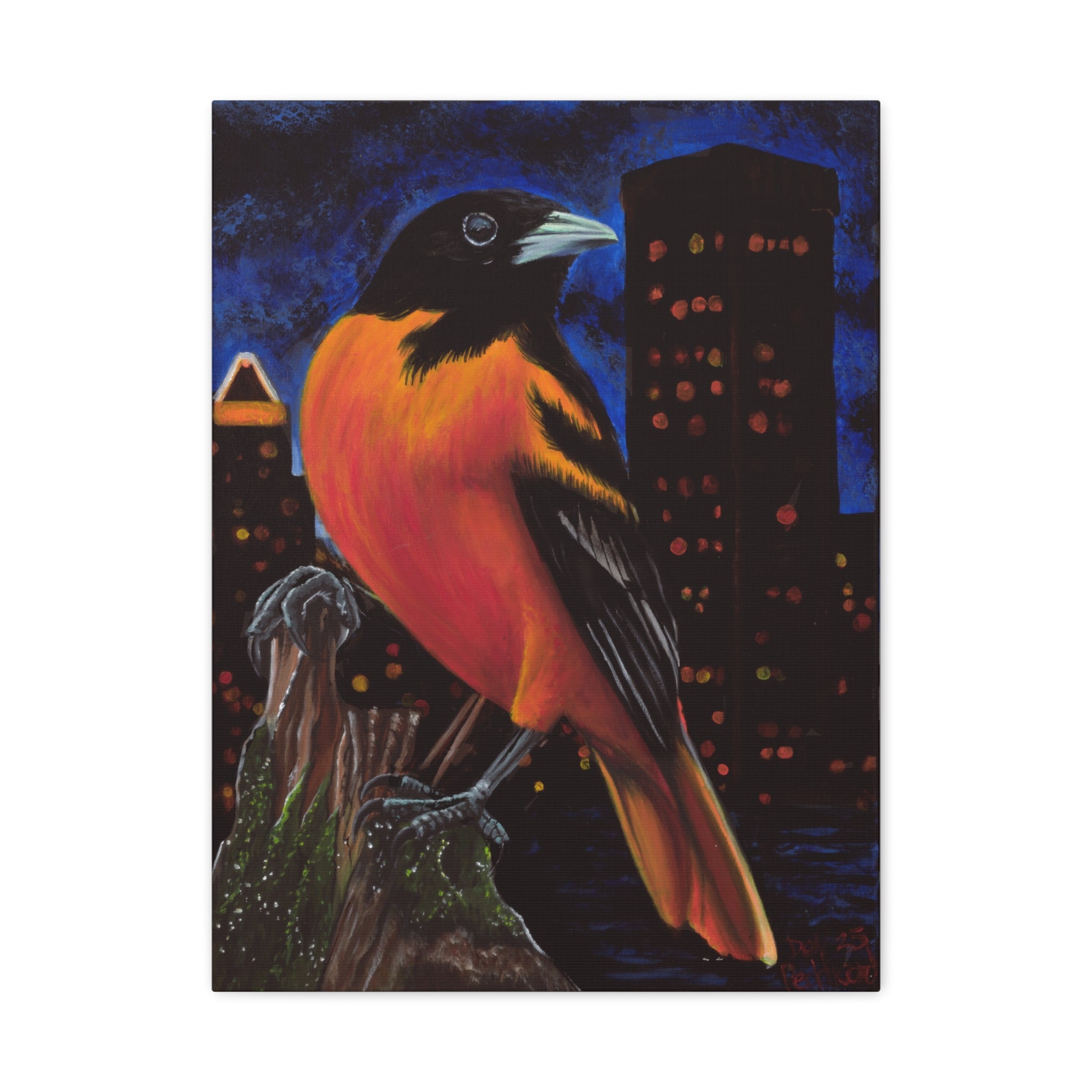 The Baltimore Oriole Canvas
