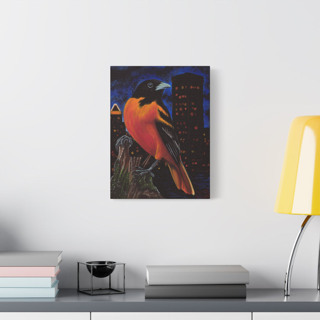 The Baltimore Oriole Canvas