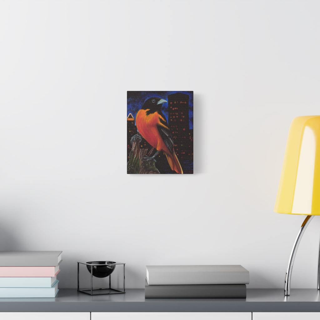 The Baltimore Oriole Canvas