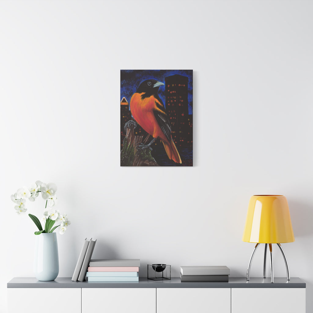 The Baltimore Oriole Canvas