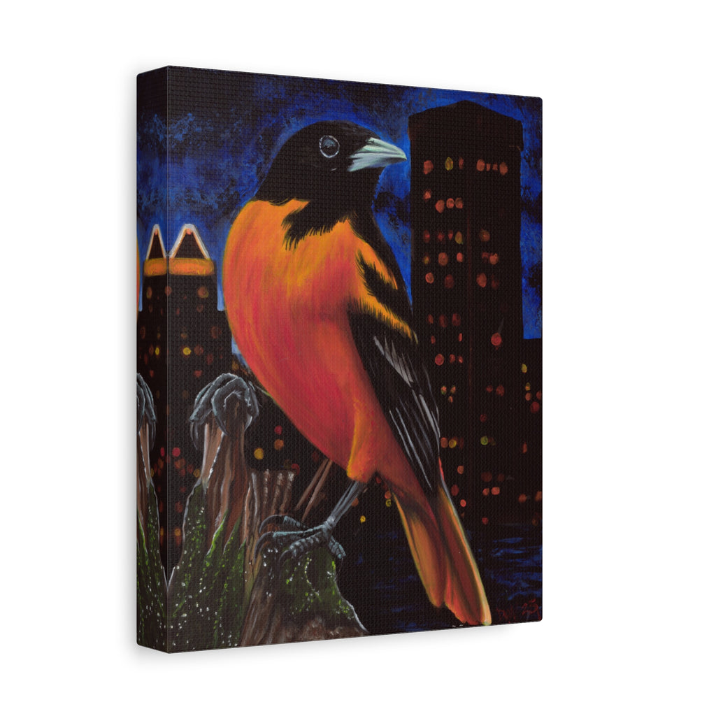 The Baltimore Oriole Canvas