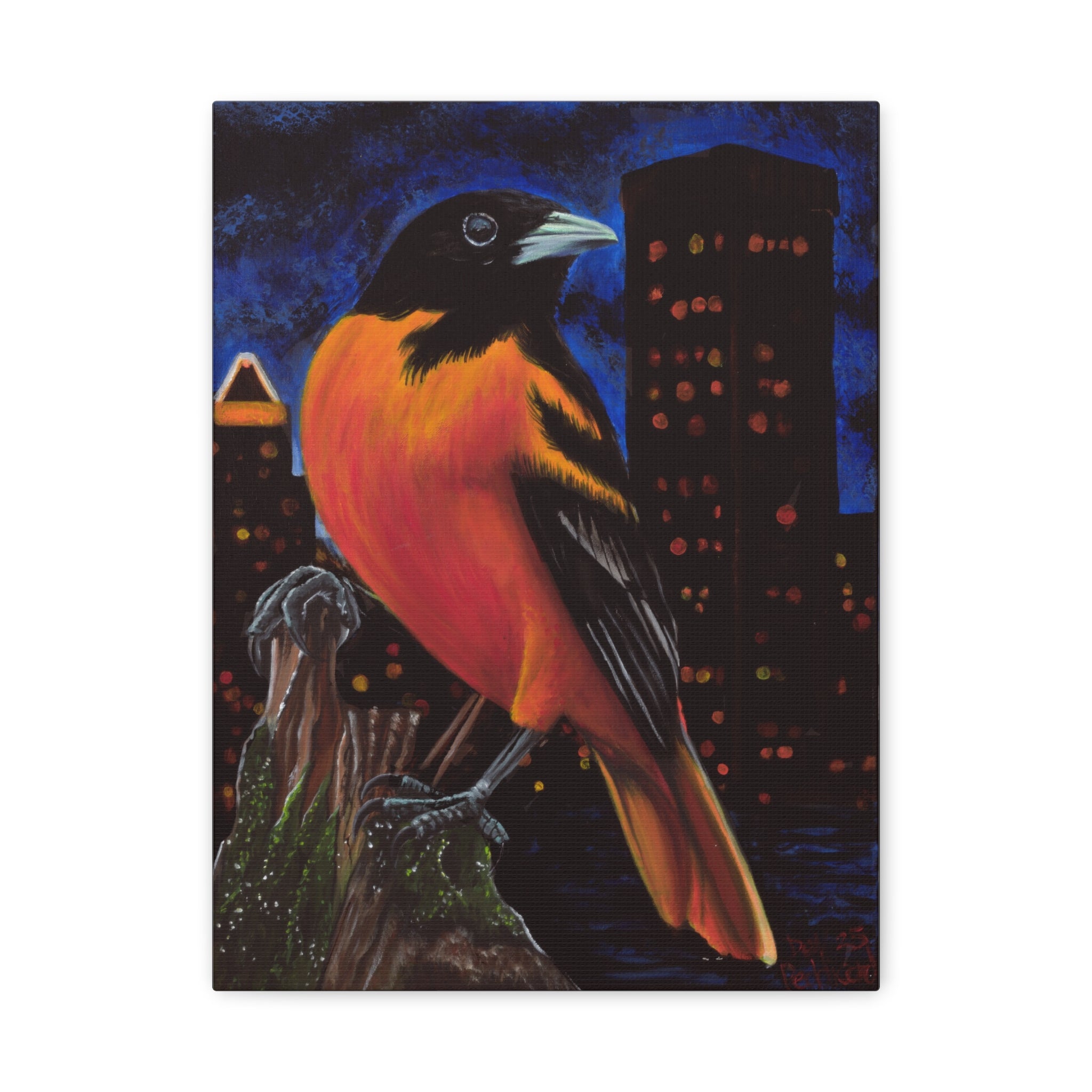 The Baltimore Oriole Canvas