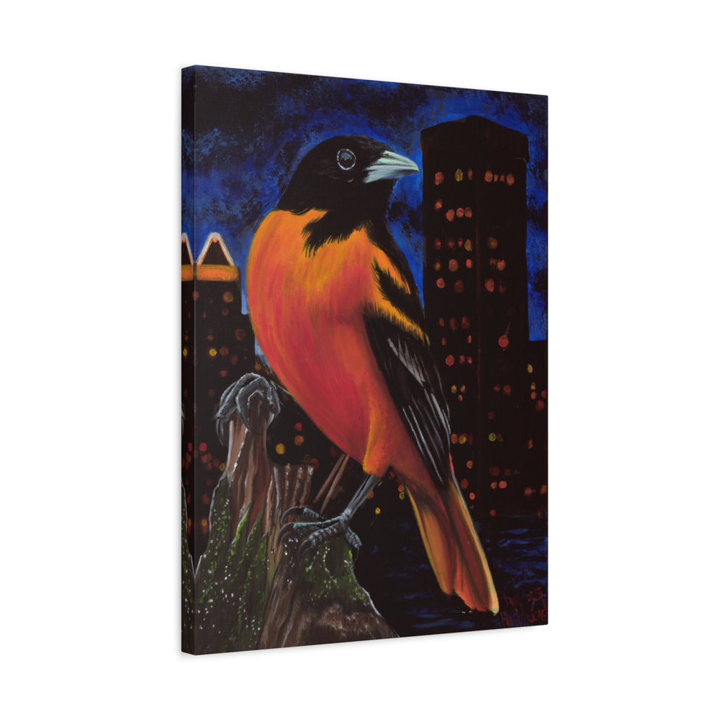 The Baltimore Oriole Canvas