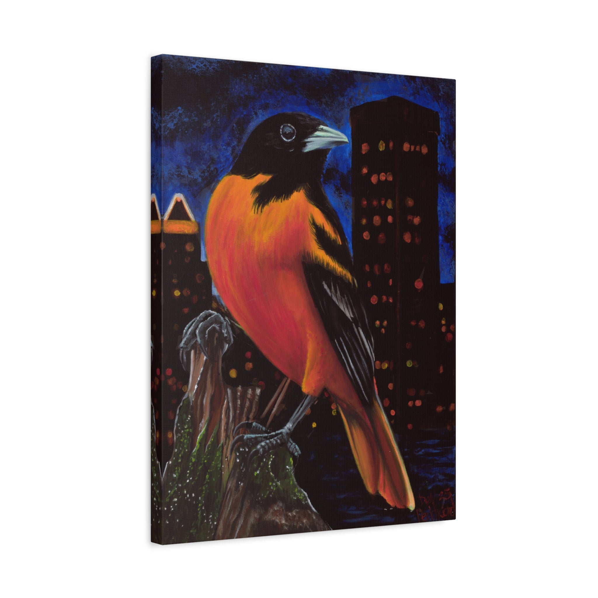 The Baltimore Oriole Canvas